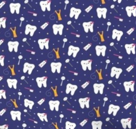 Happy Teeth Nurse Pocket Organiser
