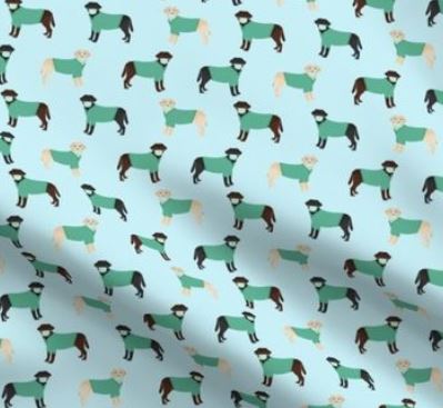 Labs in Scrubs Nurse Pocket Organiser