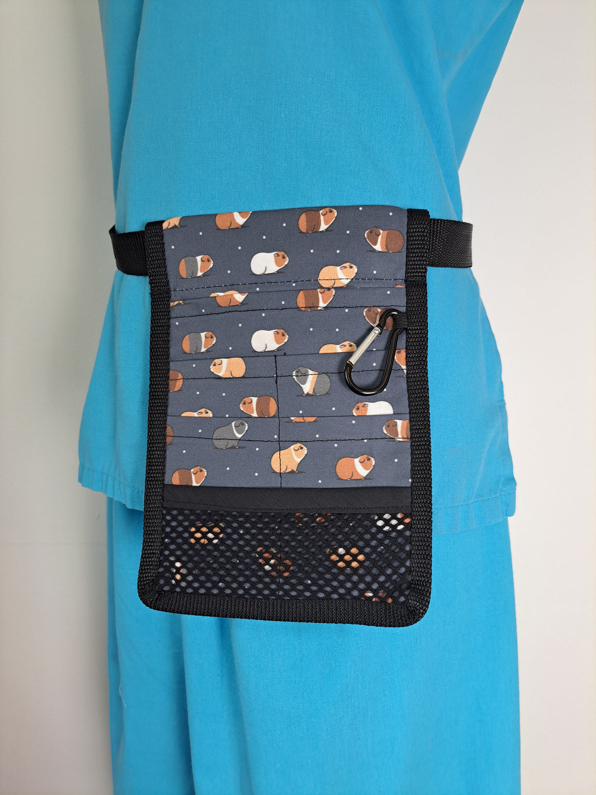 Guinea Pigs on Navy Nurse Pocket Organiser
