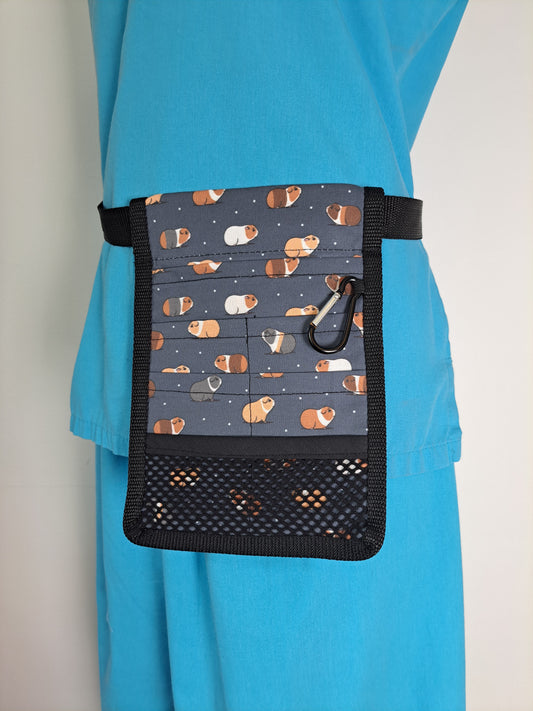 Guinea Pigs on Navy Nurse Pocket Organiser