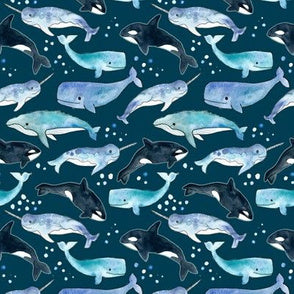 Whales Nurse Pocket Organiser